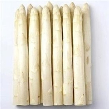 Asparagus - Gijnlim - Seed Megastore - Sku 9 Asparagus - Gijnlim - Seed Megastore - Sku 9