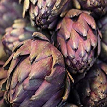 Artichoke - Romanesco - 10 Seeds Artichoke - Romanesco - 10 Seeds