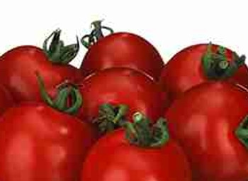 Tomato F1 Sweet Million - 10 Seeds Tomato F1 Sweet Million - 10 Seeds
