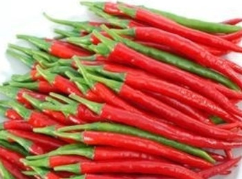 Hot Pepper F1 Red Flame - 10 Seeds Hot Pepper F1 Red Flame - 10 Seeds
