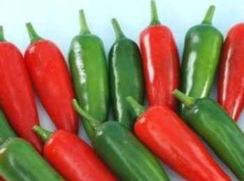 Hot Pepper F1 Rocky - 10 Seeds Hot Pepper F1 Rocky - 10 Seeds
