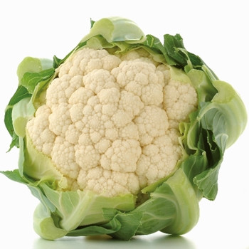 Cauliflower - Atalaya - Seed Megastore - Sku 260 Cauliflower - Atalaya - Seed Megastore - Sku 260
