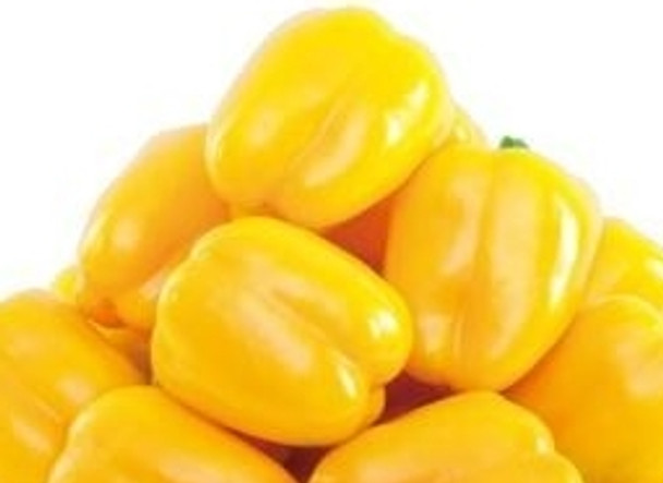 Sweet Pepper F1 Golden Star - 10 Seeds