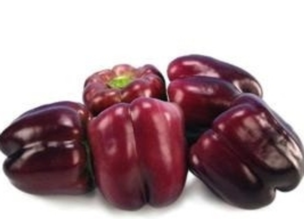 Sweet Pepper F1 Purple Star - 10 Seeds