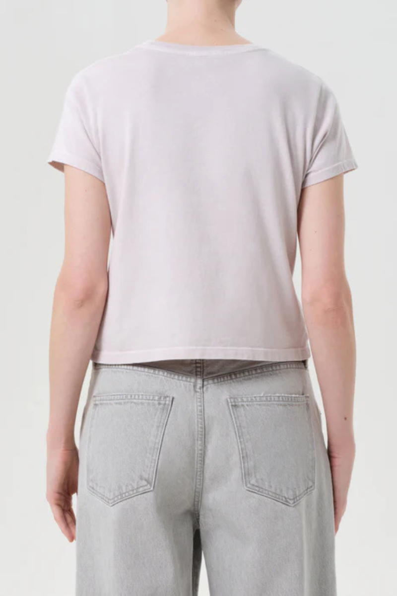 Agolde Adine Shrunken Tee in Rosewater back