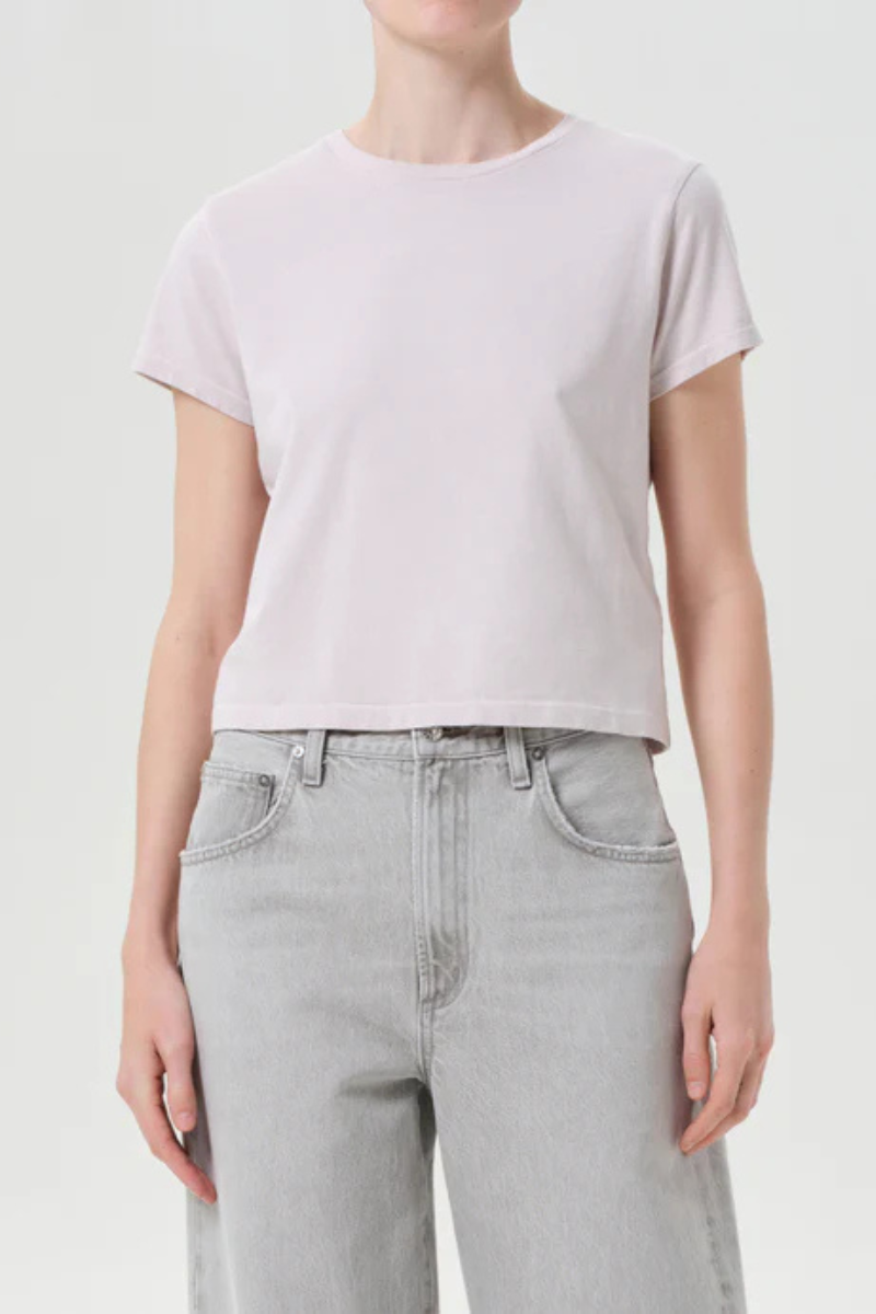 Agolde Adine Shrunken Tee in Rosewater front
