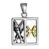 Pisces Fishes Zodiac Sign Pendant Sterling Silver Gold Plating
