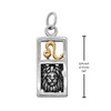 Front-facing view of a Leo horoscope charm on a crisp white background, emphasizing the contrast between the smooth silver frame and the warm gold astrology sign