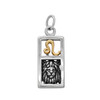 Leo charm necklace featuring a rectangular .925 sterling silver pendant with a gold vermeil zodiac symbol and a detailed silver lion head