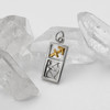 Sagittarius charm in .925 sterling silver with a rectangular frame design and a contrasting gold vermeil astrological sign