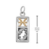 Measurement guide for a Pisces charm pendant, illustrating that the rectangular charm is 3/4 inch, or 1.9 cm, tall