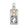 Front view of a .925 sterling silver Pisces charm with a gold-plated astrology symbol on a crisp white background