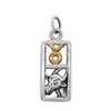 Taurus charm necklace featuring a rectangular .925 sterling silver pendant with a gold vermeil bull symbol and a silver bull head
