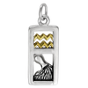 Sterling Silver Aquarius the Water Bearer Zodiac Sign Pendant Charm with Vermeil