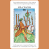 Beginner tarot deck with keywords, Tarot deck with guidebook, Unique tarot cards, Apprentice Tarot Deck for Sale, Wiccan Store, Mystical Gifts and Accessories, Occult and Esoteric Shop, Buy Tarot Cards!