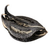 Bats Head Root