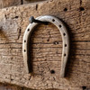 Iron Horseshoe | Goodluck & Protection - Witchy Wall Decor