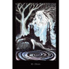 Call of the Morrigan Oracle