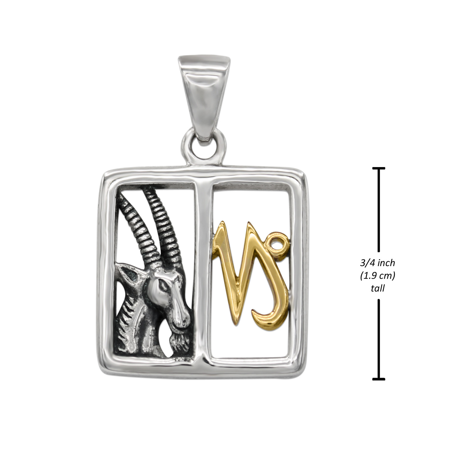 Capricorn necklace: Measurement guide showing the silver and gold zodiac pendant is 3/4 inch or 1.9 cm tall