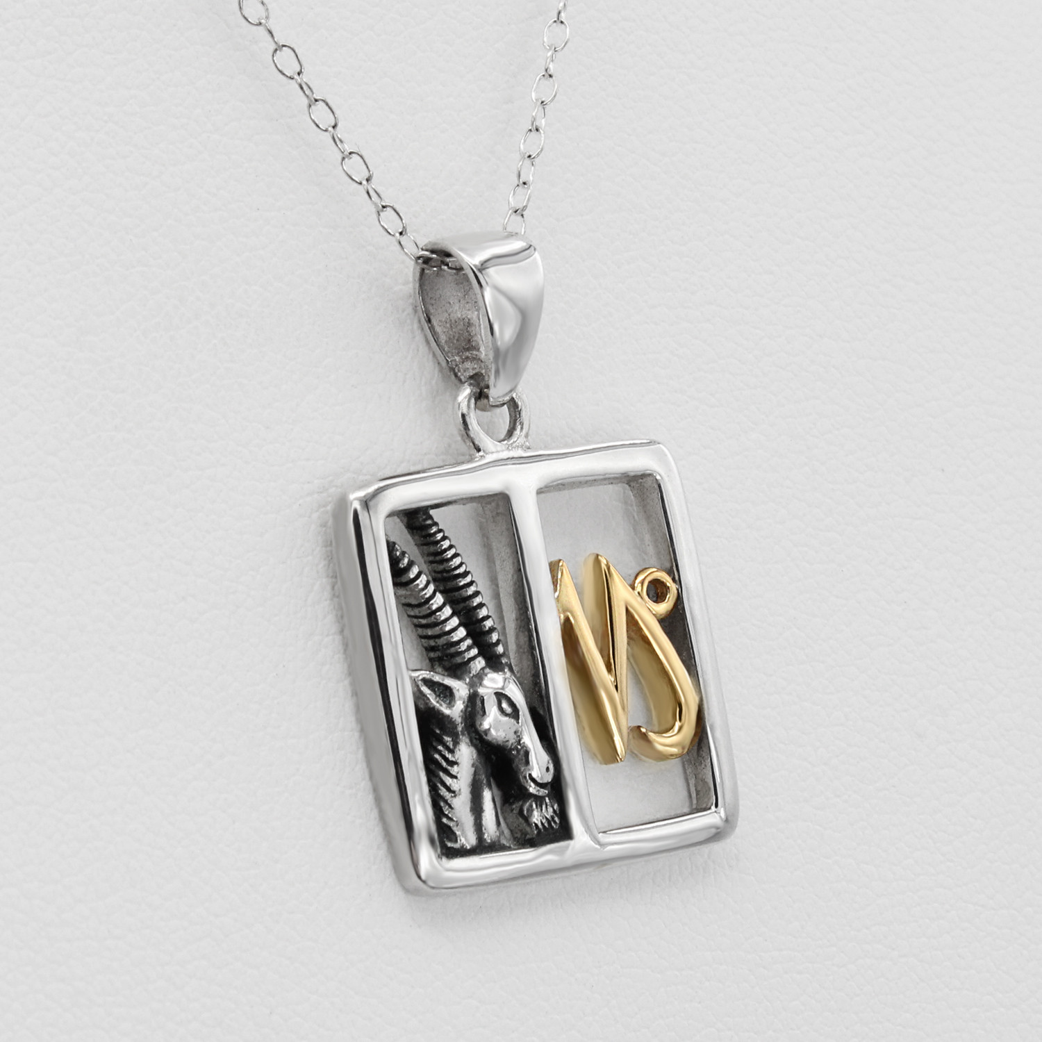 Zodiac necklace: Square silver frame pendant containing a sculpted Capricorn goat and golden astrology sign