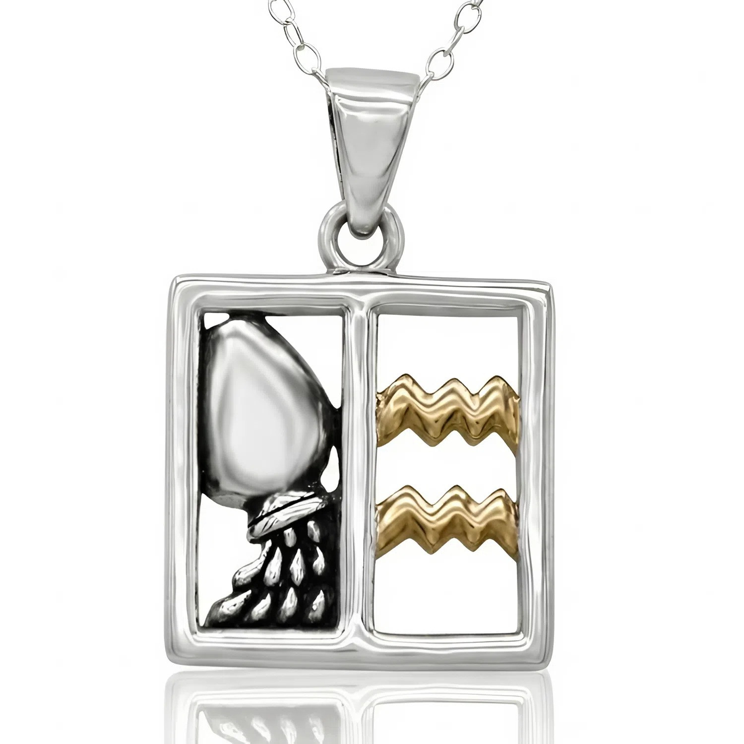 Aquarius pendant: Two-tone sterling silver and gold astrological necklace featuring the water bearer motif
