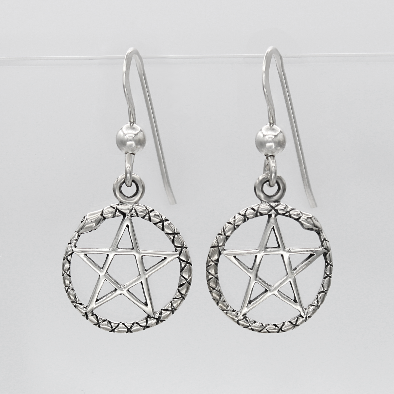Silver Dangle Hook Earrings with Serpent and Pentacle Witchcraft Design