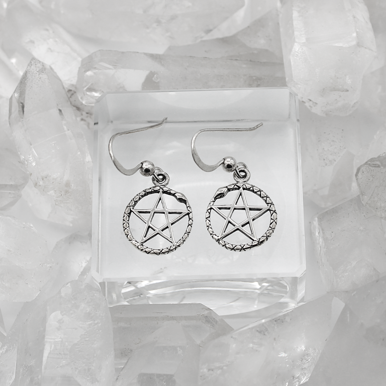 Ouroboros Hook Earrings