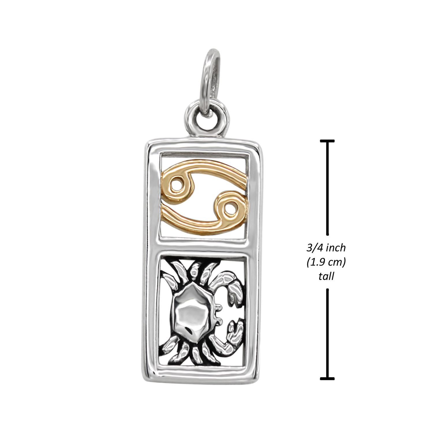Measurement guide for a Cancer charm pendant, illustrating that the rectangular dual-metal charm is 3/4 inch, or 1.9 cm, tall