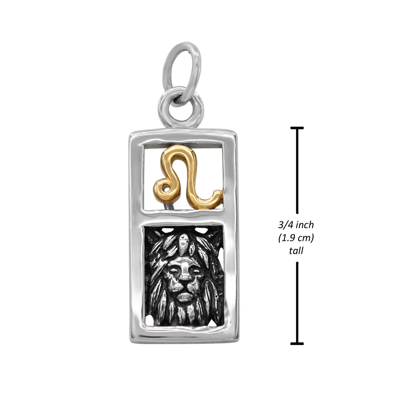 Front-facing view of a Leo horoscope charm on a crisp white background, emphasizing the contrast between the smooth silver frame and the warm gold astrology sign