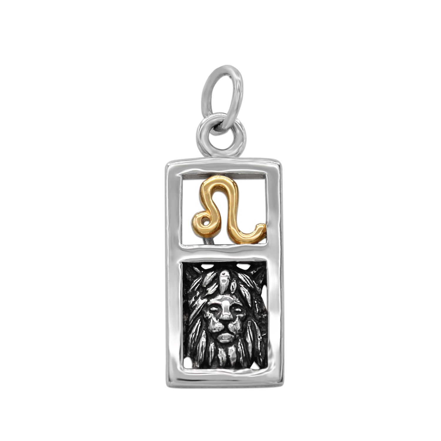 Leo charm necklace featuring a rectangular .925 sterling silver pendant with a gold vermeil zodiac symbol and a detailed silver lion head