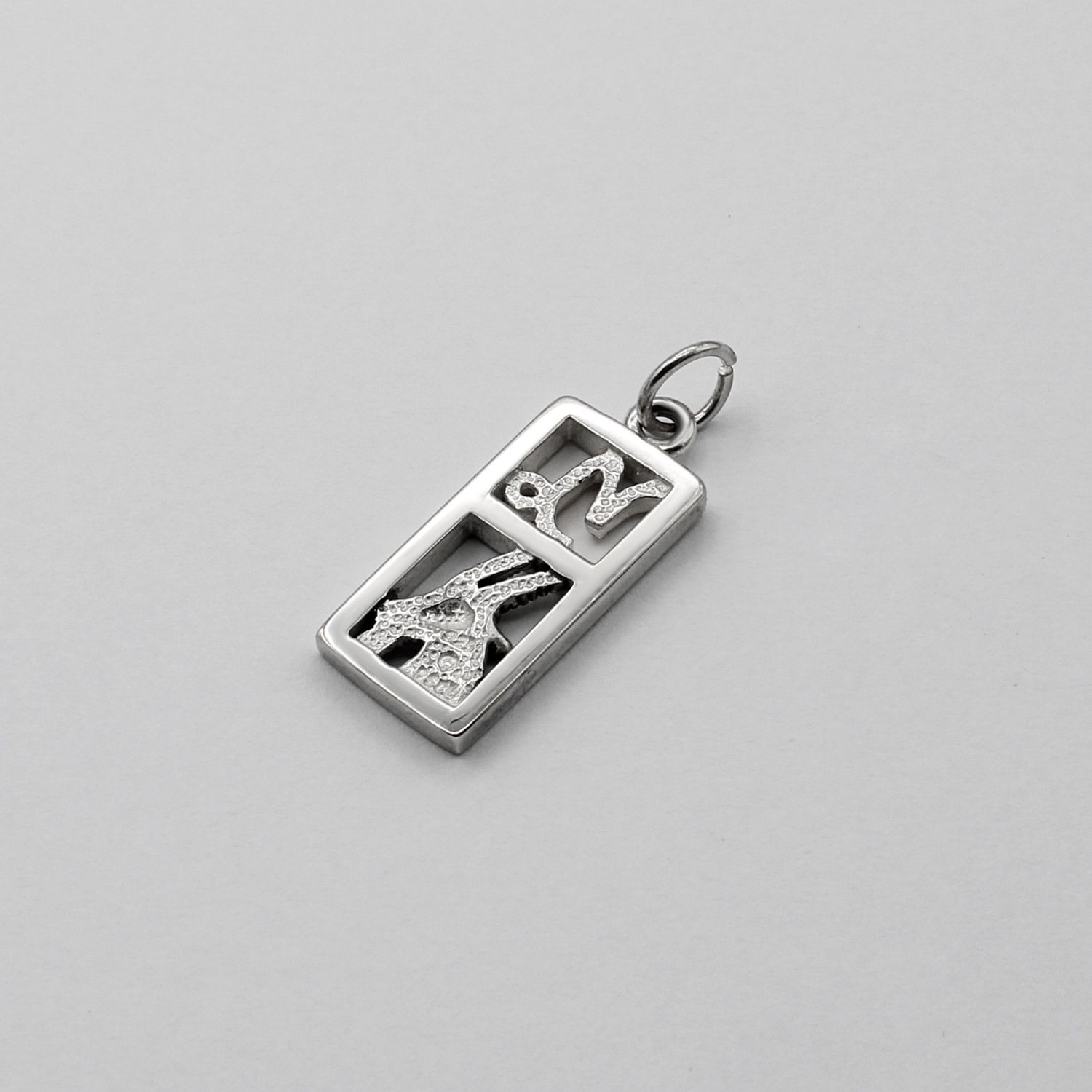 Capricorn zodiac necklace worn by a model, showcasing the pendant's elegant size and its bright silver and gold finish