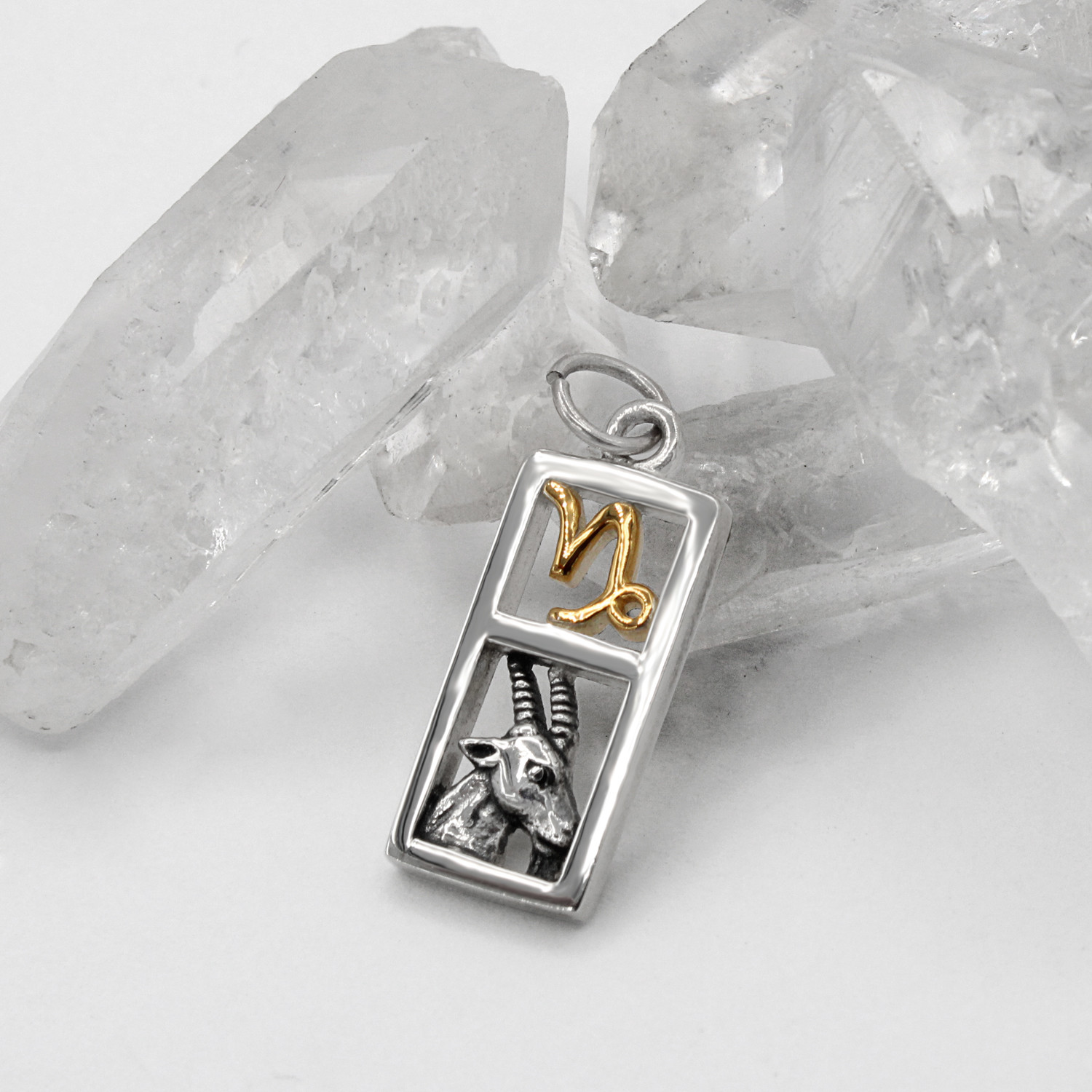Detailed view of a .925 sterling silver Capricorn charm with a gold-plated zodiac sign