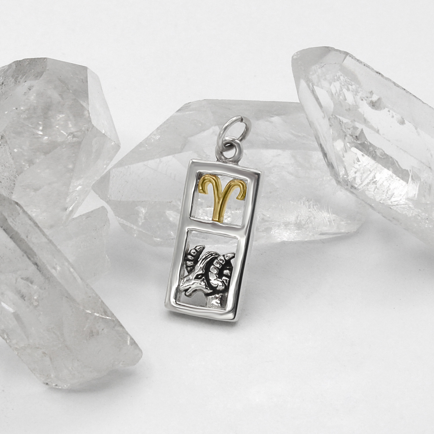 Aries charm necklace at our pagan jewelry shop featuring a rectangular sterling silver pendant with a gold vermeil zodiac symbol and a detailed silver ram's head