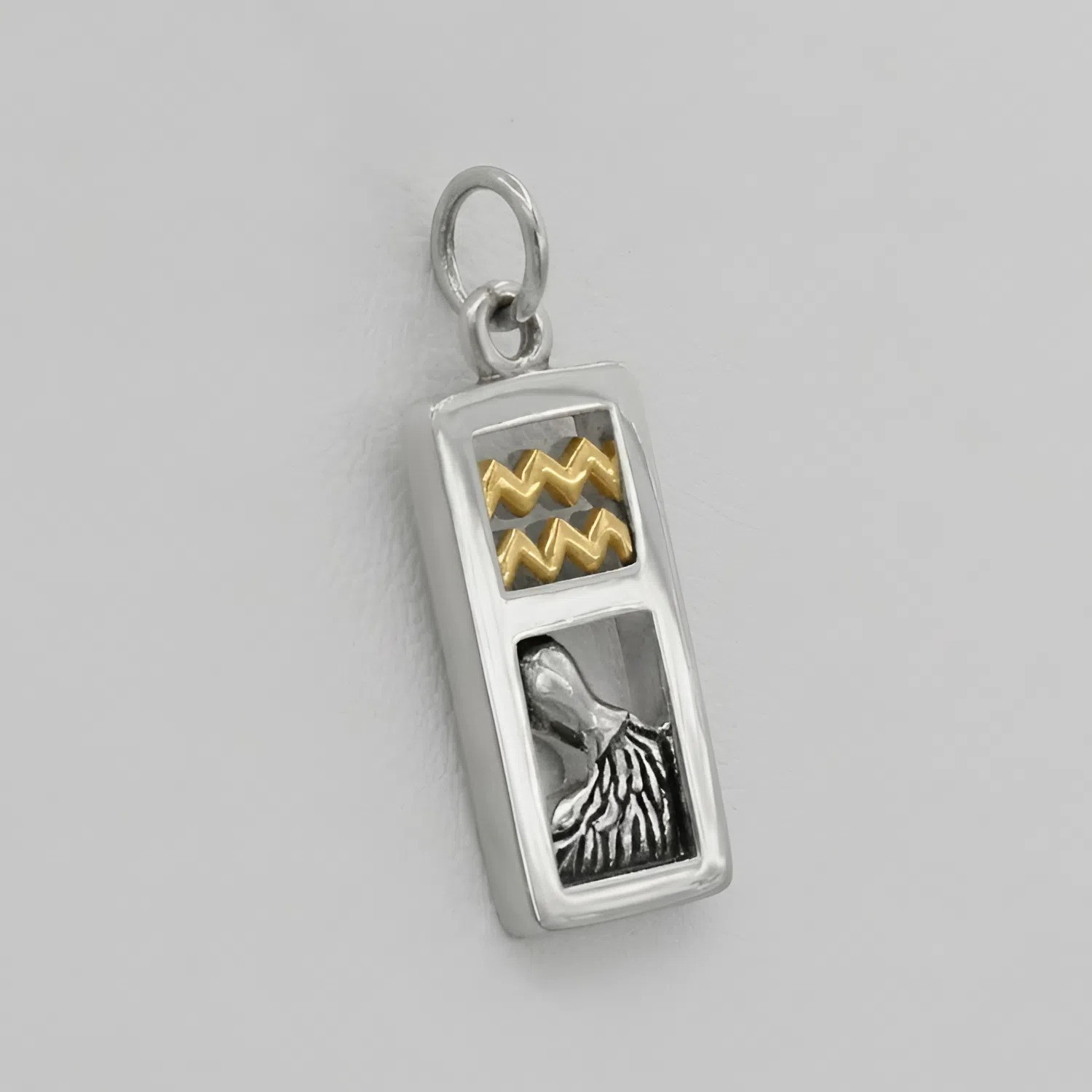 Detailed view of the Aquarius "Water Bearer" symbol, showing a silver urn pouring water within a rectangular frame
