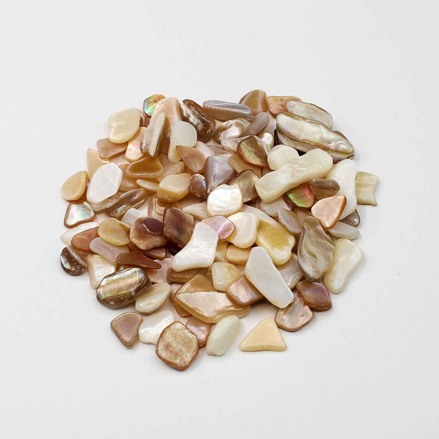Mother of pearl amulet curio loose shell pieces, image of pagan, wiccan, and witchcraft metaphysical store supplies ready for purification ritual