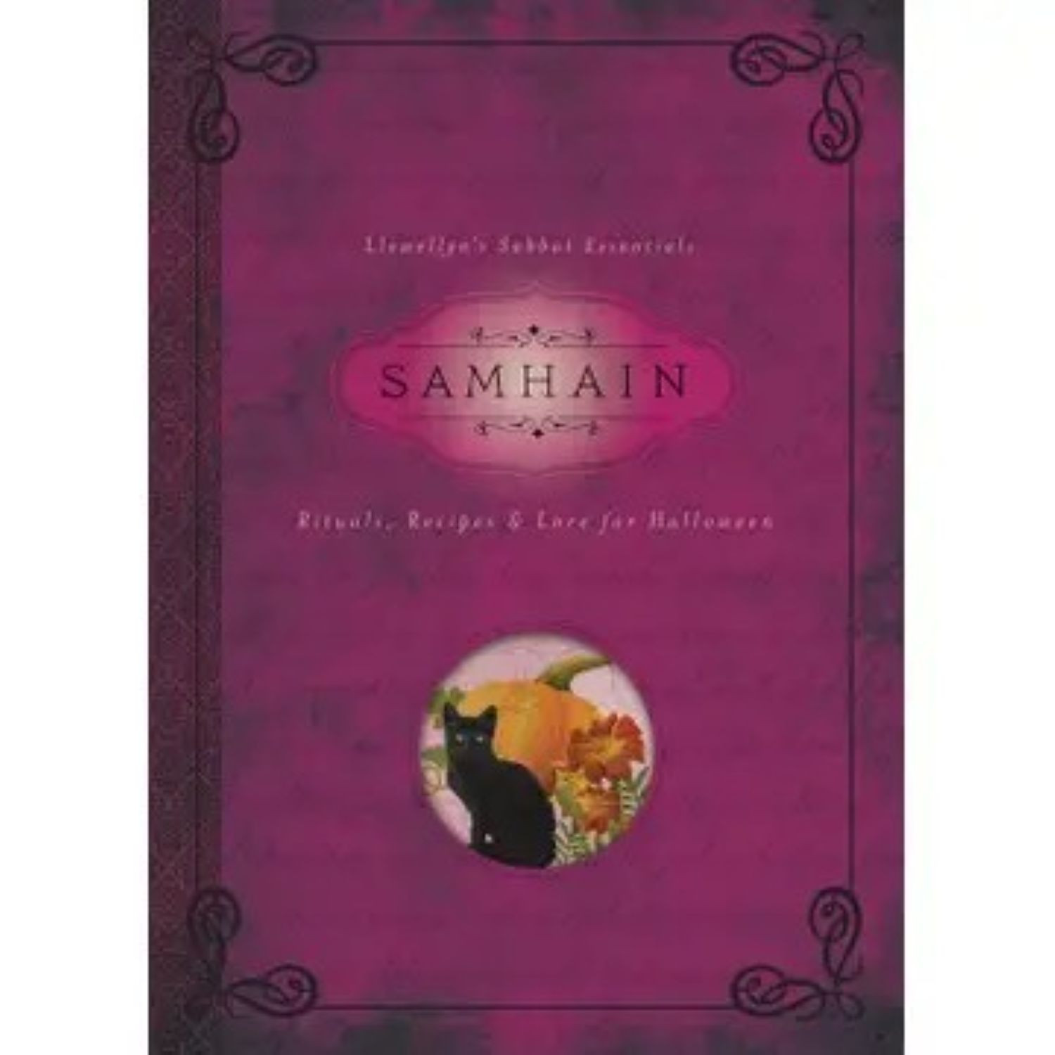 Samhain: Rituals, Recipes & Lore For Halloween by Diana Rajchel | Paperback Book