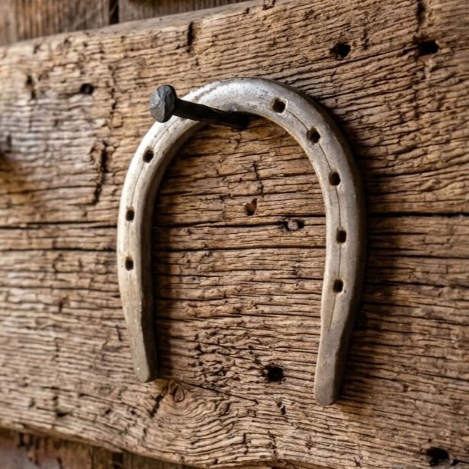 Iron Horseshoe | Goodluck & Protection - Witchy Wall Decor