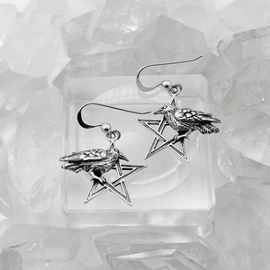 Raven pentagram earrings witchy aesthetic pagan gifts wiccan supplies witchcraft