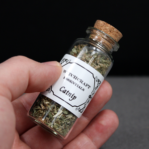 Catnip ritual herbs | Spell ingredients | wiccan supplies | pagan supplies | Moonlight Mysteries the witch supply shop | witchcraft supplies