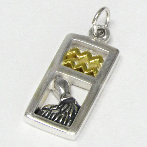 Sterling Silver Aquarius the Water Bearer Zodiac Sign Pendant Charm with Vermeil