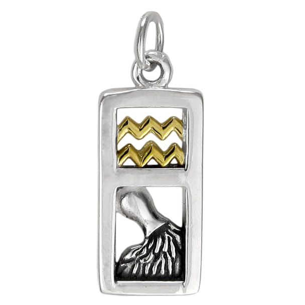 Sterling Silver Aquarius the Water Bearer Zodiac Sign Pendant Charm with Vermeil
