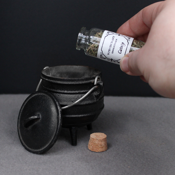 Catnip ritual herbs | Spell ingredients | wiccan supplies | pagan supplies | Moonlight Mysteries the witch supply shop | witchcraft supplies