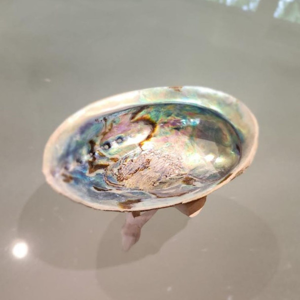 Sacred Abalone Shell Incense Holder & Stand - Wiccan & Pagan Smudging Supplies witchcraft ritual supplies tools gifts