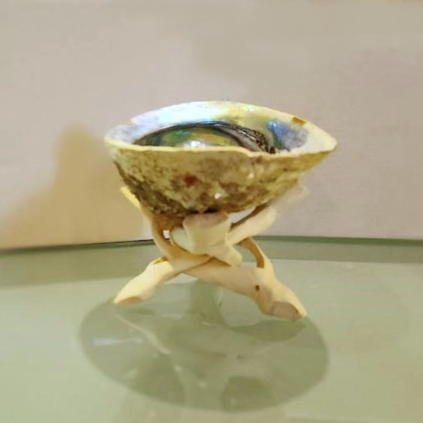 Sacred Abalone Shell Incense Holder & Stand - Wiccan & Pagan Smudging Supplies witchcraft ritual supplies tools gifts Witchcraft Store