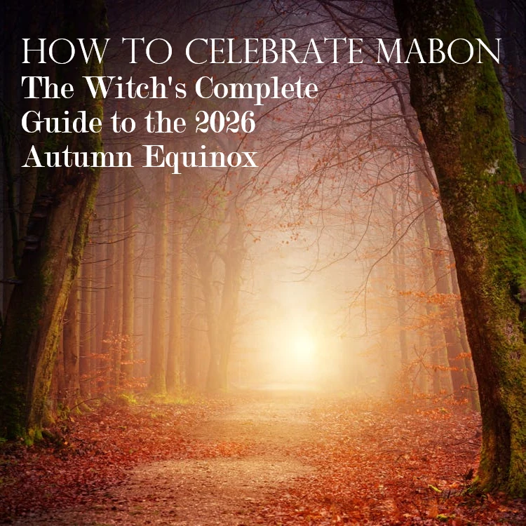 Feel the golden energy of Mabon 2026 rise within your practice as we celebrate the second harvest of the year. This sacred sabbat is one know as the witches thanks-giving of the most potent times of the year for gratitude, prosperity, and thankfulness of what you have sown. By exploring ancient pagan traditions and Wiccan rituals, you can tap into the power of the earth's bounty to energize your spiritual path. Whether you are performing powerful witchcraft spells, or participating in traditional gatherings, the energy of mabon is unparalleled for those seeking gratitude, abundance and manifest their goals.&nbsp; Our complete mabon guide provides everything witches, pagans, and Wiccans need to celebrate the season effectively. From creating vibrant altar setups with golden harvest hues to selecting the perfect spell ingredients and ritual supplies, we cover the essentials for earthy candle magick and prosperity-focused workings. Every detail is designed to help you elevate your highest intentions and give thanks during this turning of the wheel.&nbsp; As a trusted source for supplies since 2002, Moonlight Mysteries has supported practitioners in their craft for over two decades. You can read the full post and explore the Mabon Collection on the Moonlight Mysteries Witch Shop Blog to experience the bounty of the season today.