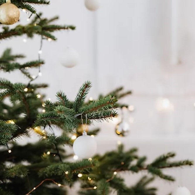 The yule season is here at our trusted Witch Store, where we bring you a carefully curated collection of wiccan supplies forged from years of personal experience with this sacred festival. Our team, with 20 years experience in metaphysical and occult retail, has the expertise to offer not just products, but the right handcrafted tools for your spiritual rituals and traditions. We've earned a reputation as one of the best ritual supply stores for the Pagan and Wiccan community, and our authoritativeness is built on a deep commitment to providing authentic and high quality Wiccan, witchcraft, and pagan supplies to the magical community. This is a space of profound passion, where every item—from our unique witchy decor to our thoughtful wiccan gifts—is selected to honor the true meaning of the winter solstice season. When you Shop yule supplies on our online store, you're not just making a purchase—you're preparing to connect with the old ways and the spiritual world. From yule tree decorations to altar adornments, find the perfect Pagan Wiccan gift and supplies to embrace the holiday season. We are honored to be a part of your spiritual journey.