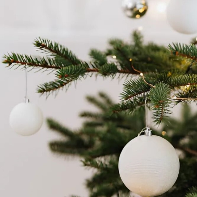 Yule & Winter Solstice Graphic For Online Web Store blessed yule tree close up display for midwinter at Moonlight Mysteries Witch Store Pagan Supplies products Wicca Supplies Witchcraft Supplies Wiccan Gifts Ritual Supplies