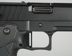 Alpha American Firearms Vanguard  RMR Ready DLC 9mm