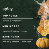 Highlights the top, mid, and base notes of Homedics® SereneScent™ Masala Pumpkin's fragrance.