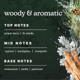 Highlights the top, mid, and base notes of Homedics® SereneScent™ Frosted Cypress's fragrance.